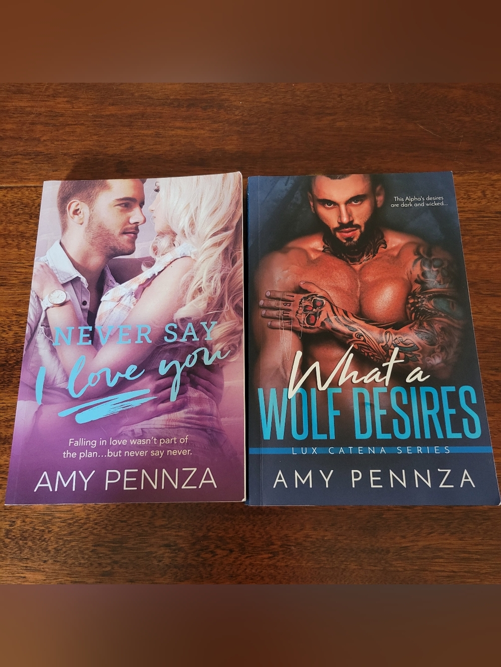 Lot of 2 Amy Pennza Romance Paperback Books